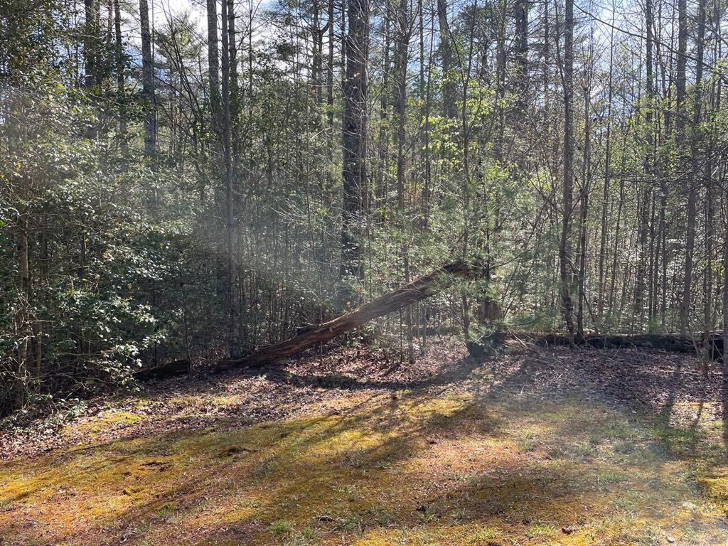 Lot 89 Spectacular Property Photo 1