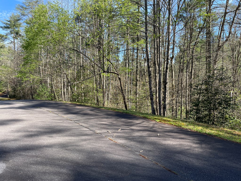 Lot 89 Spectacular Property Photo 2