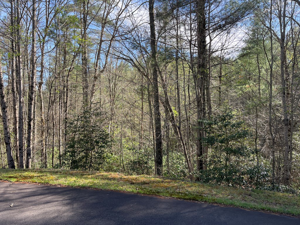 Lot 89 Spectacular Property Photo 3