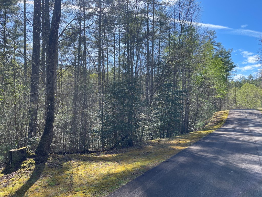 Lot 89 Spectacular Property Photo 5