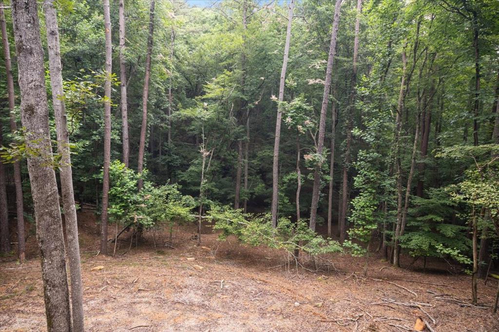 129 Monticello Drive Property Photo 45