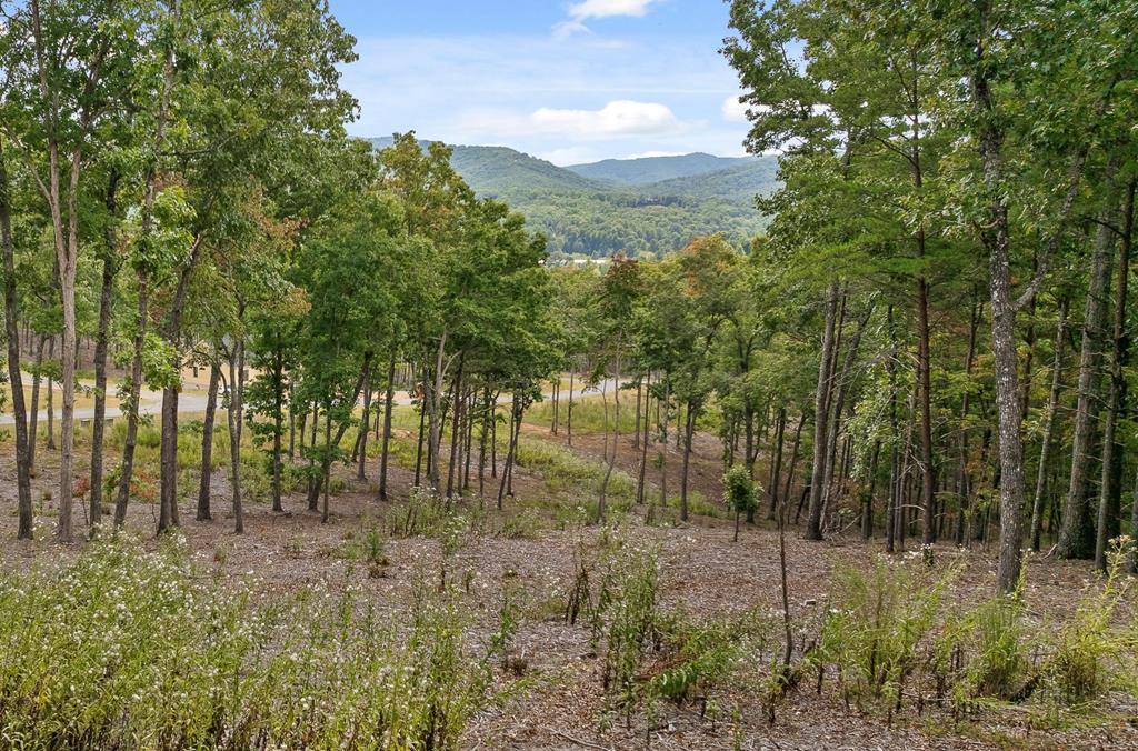 Lot 88 Split Creek Road Property Photo 1