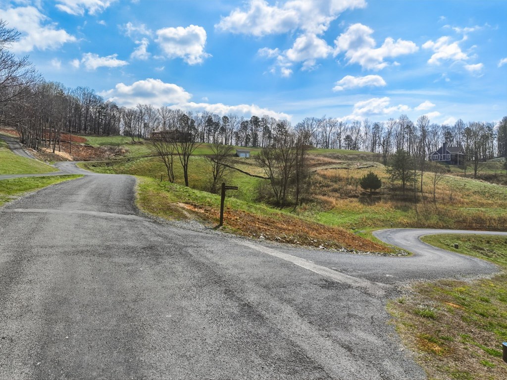 Lot 43 Big Valley Drive Property Photo 7