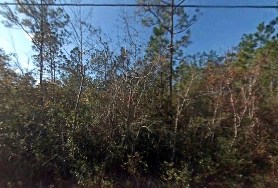 1825 Vincent Way Property Photo 3