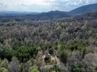 315 Hidden Branch Drive Property Photo 38