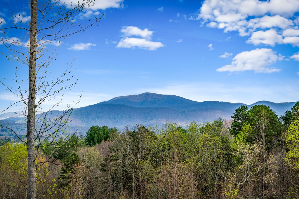 79 Winding Ridge Property Photo 44