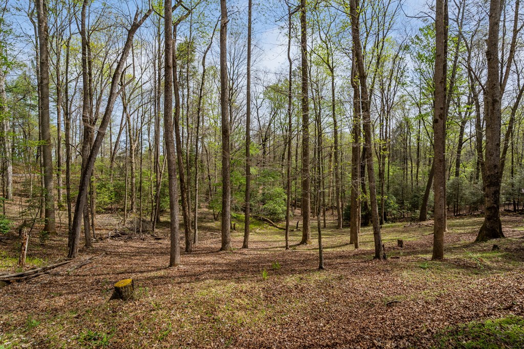 159 Pack Creek Road Property Photo 3