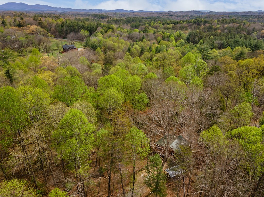 159 Pack Creek Road Property Photo 10