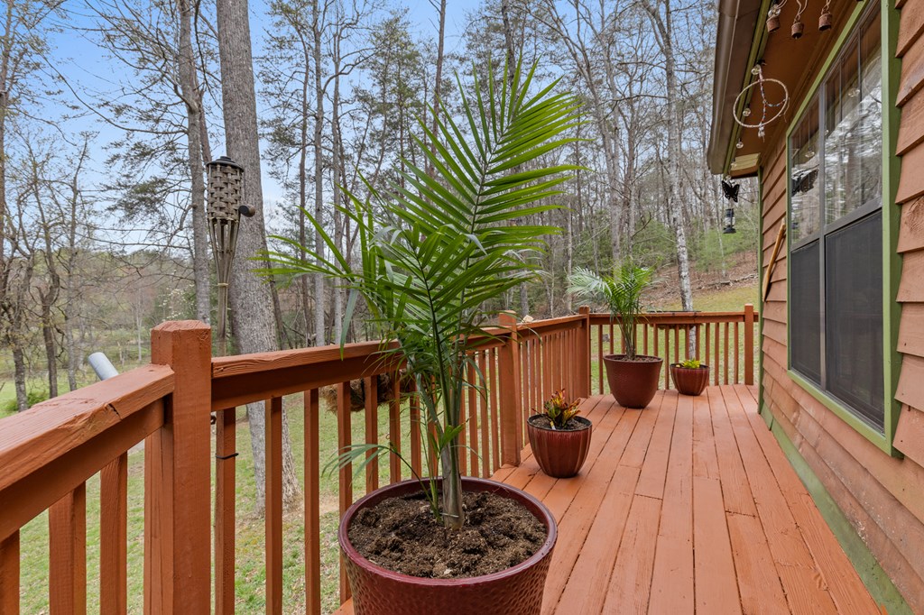 541 Black Ankle Creek Road Property Photo 8