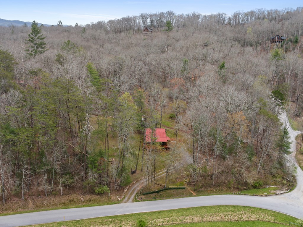 541 Black Ankle Creek Road Property Photo 9