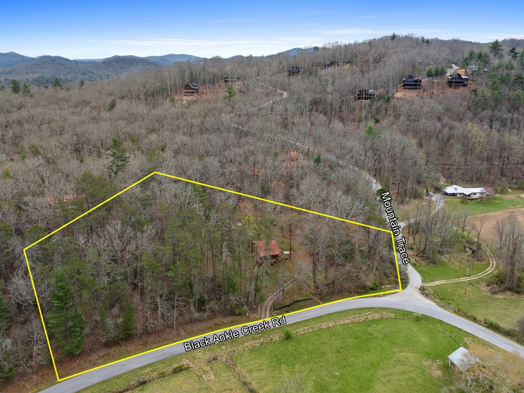 541 Black Ankle Creek Road Property Photo 10
