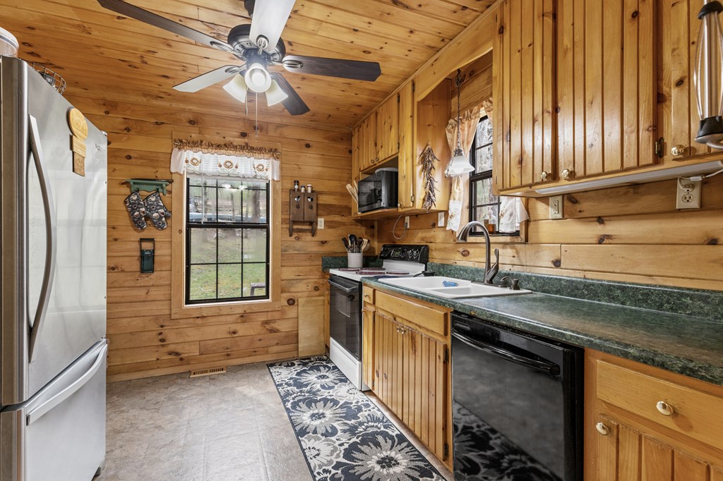 541 Black Ankle Creek Road Property Photo 18