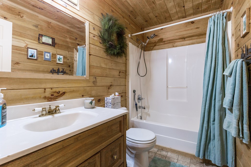 541 Black Ankle Creek Road Property Photo 23