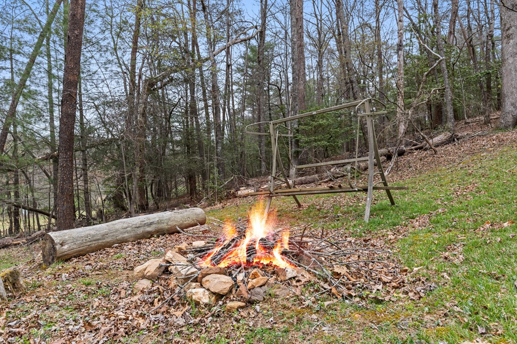 541 Black Ankle Creek Road Property Photo 27
