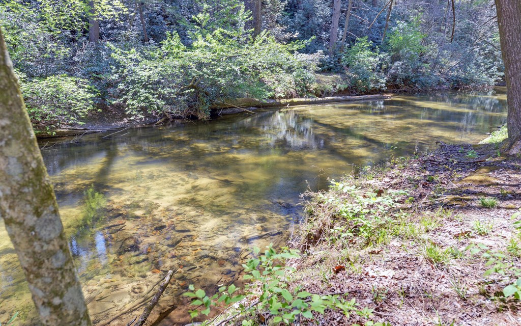 380 Bear Foot Drive Property Photo 41