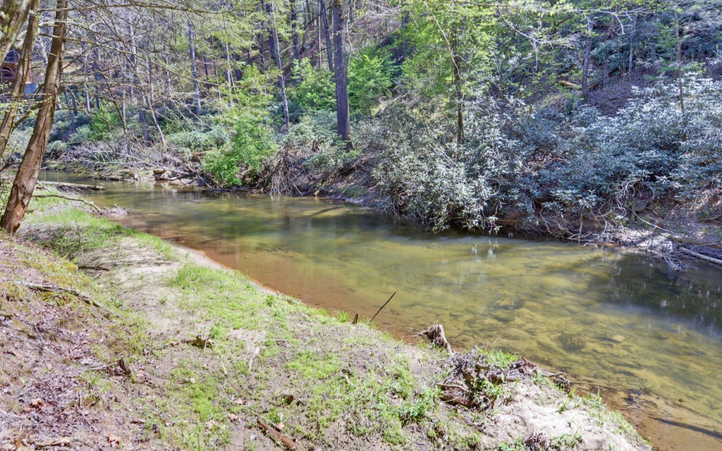 380 Bear Foot Drive Property Photo 43