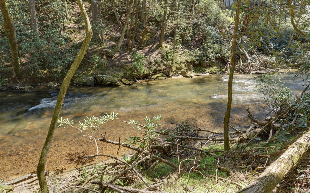 380 Bear Foot Drive Property Photo 44