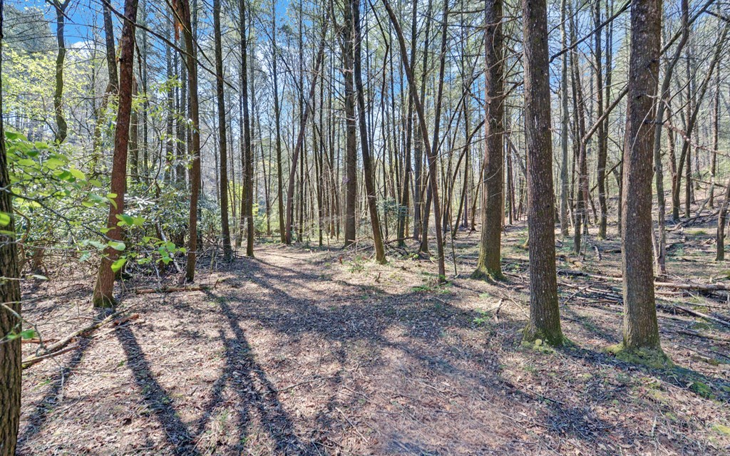 380 Bear Foot Drive Property Photo 46