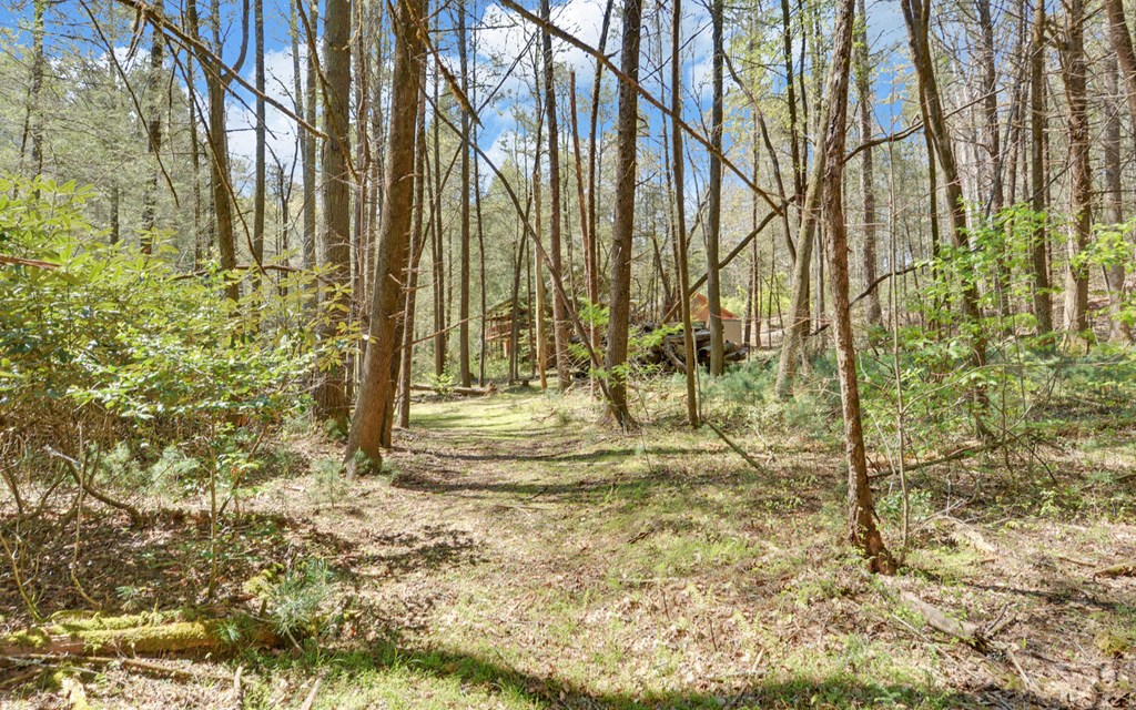 380 Bear Foot Drive Property Photo 47