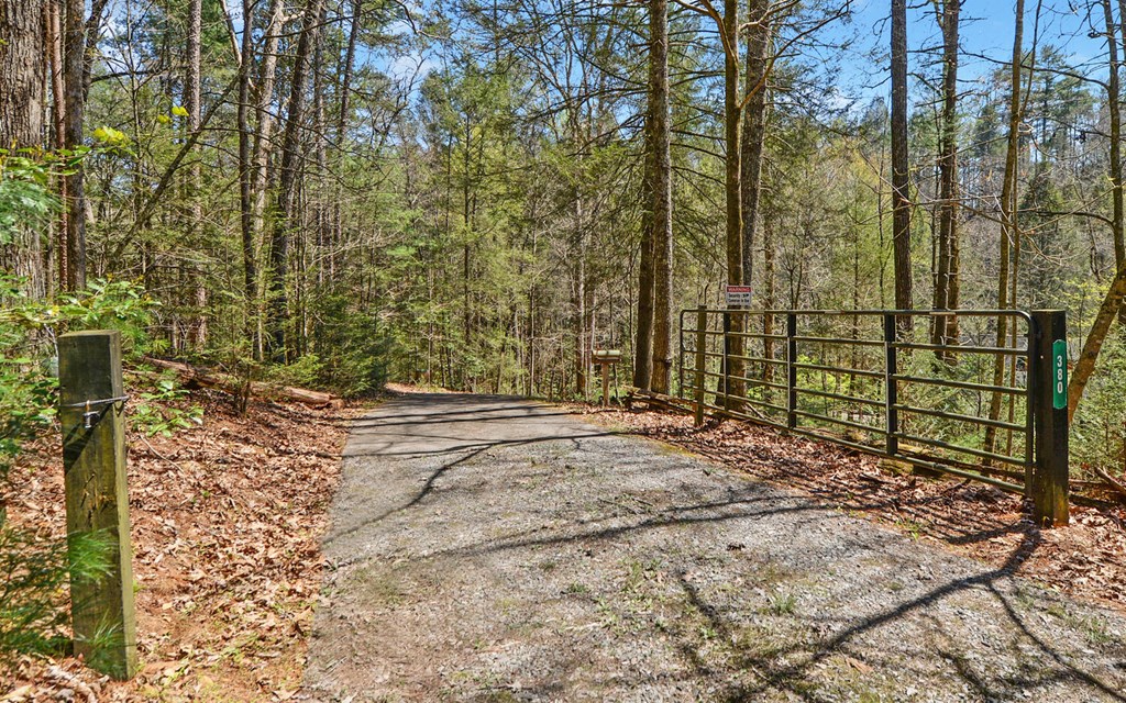 380 Bear Foot Drive Property Photo 48