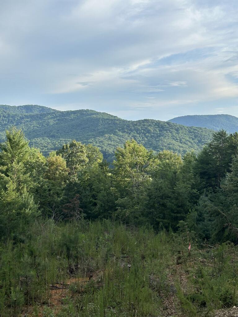 0 Stanleys Ridge Property Photo 1