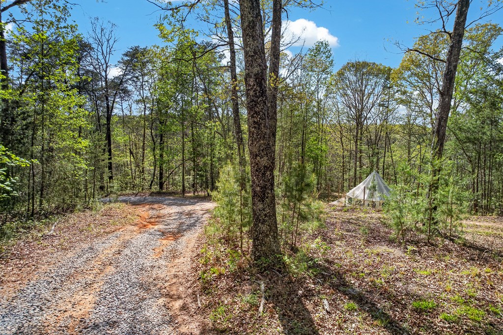 7.27 Ac. Sumac Lane Property Photo 2
