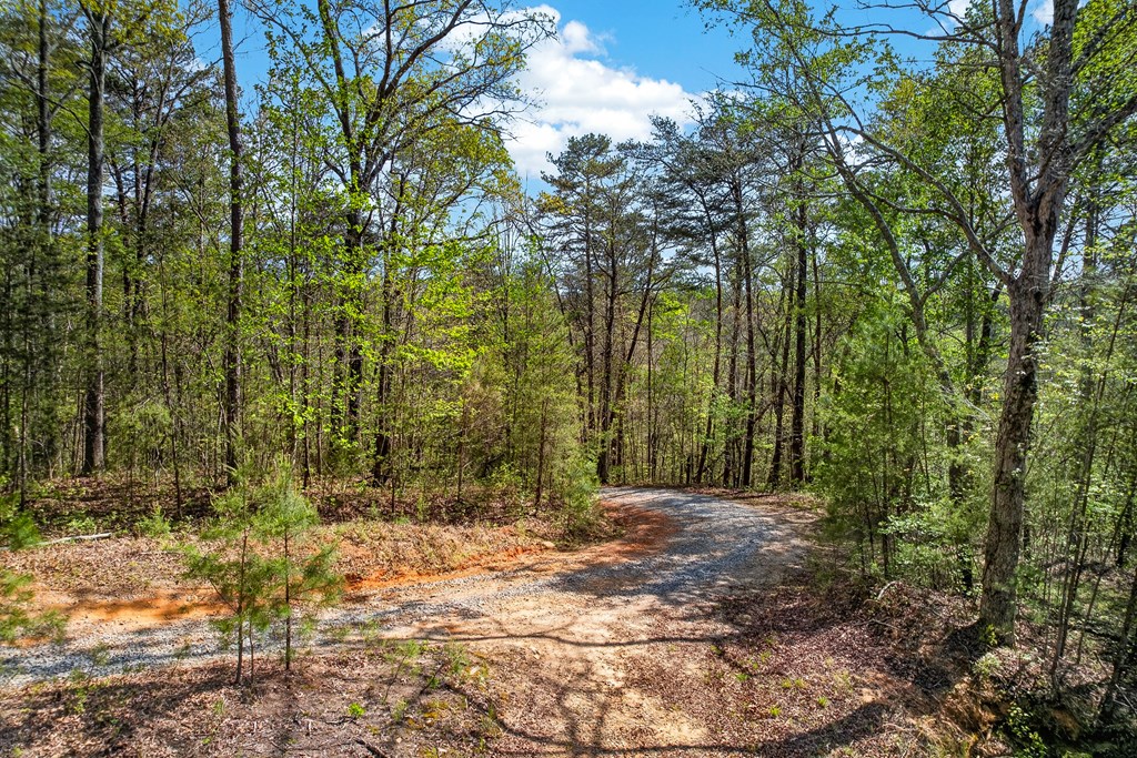 7.27 Ac. Sumac Lane Property Photo 7