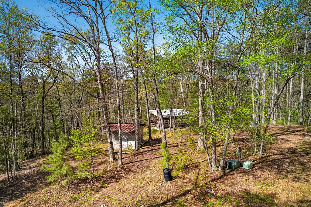 7.27 Ac. Sumac Lane Property Photo 8