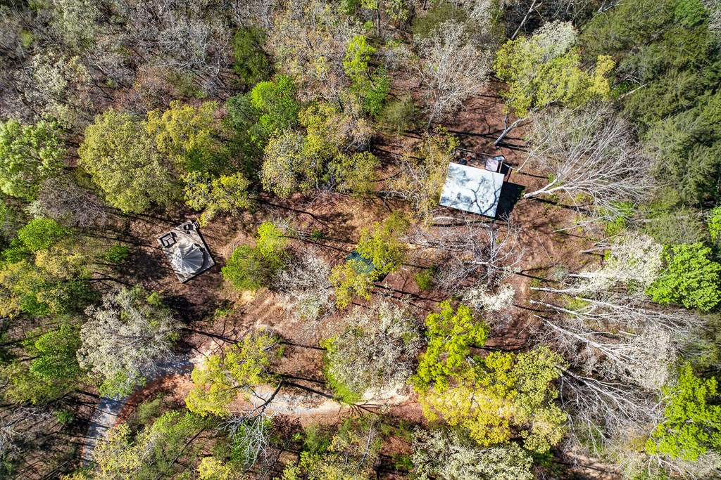 7.27 Ac. Sumac Lane Property Photo 9