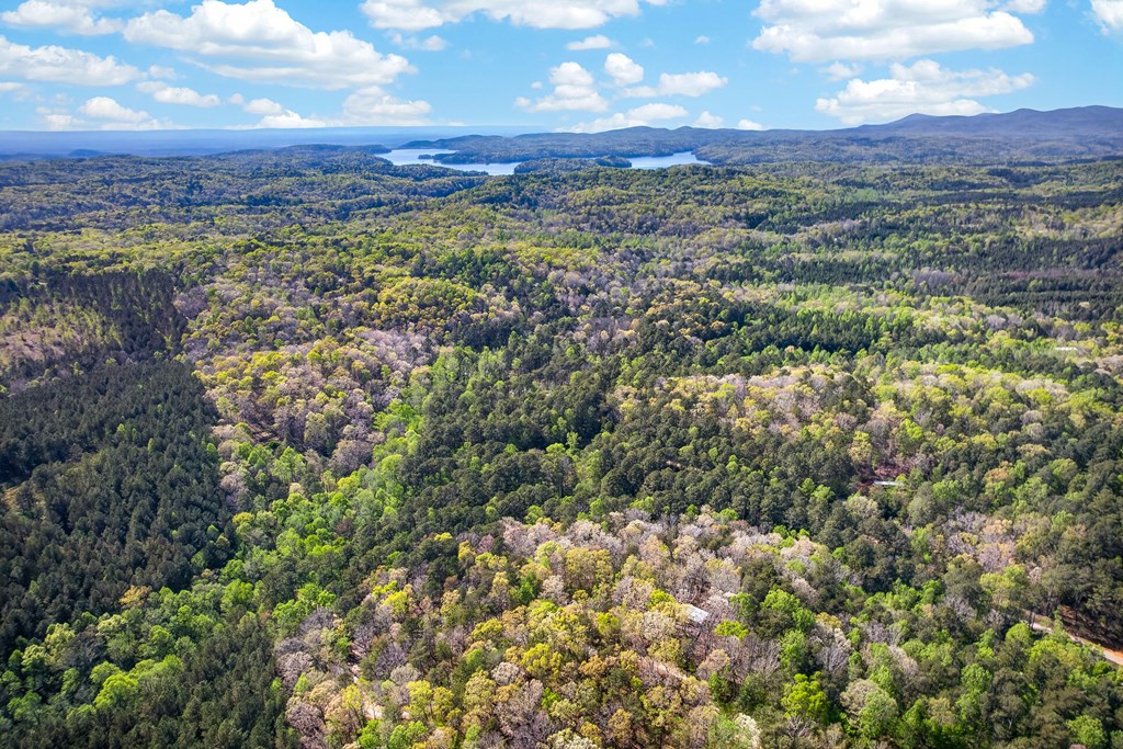 7.27 Ac. Sumac Lane Property Photo 11