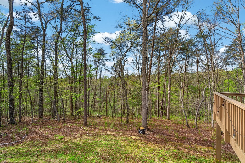 7.27 Ac. Sumac Lane Property Photo 29