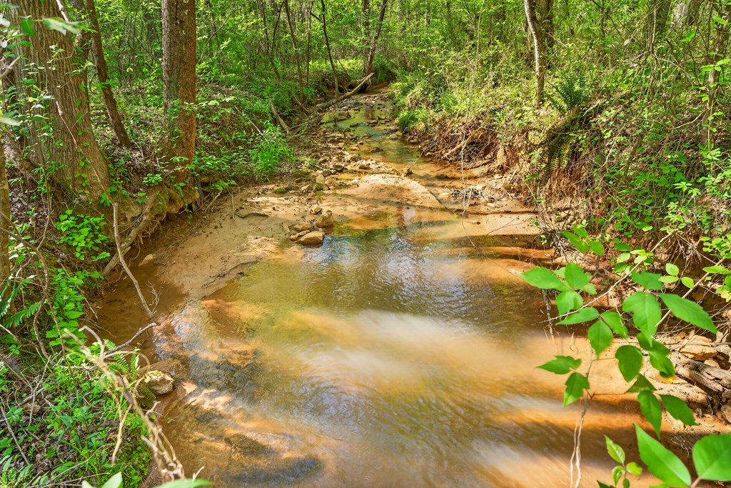 7.27 Ac. Sumac Lane Property Photo 31