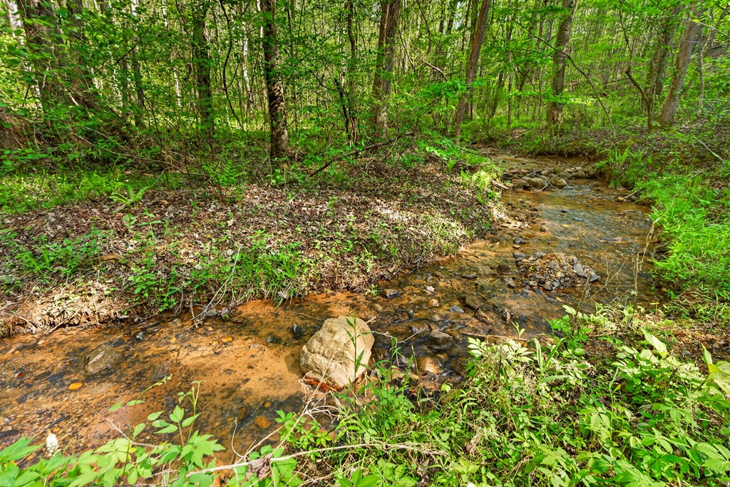 7.27 Ac. Sumac Lane Property Photo 32