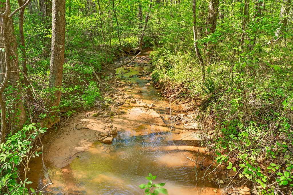7.27 Ac. Sumac Lane Property Photo 33