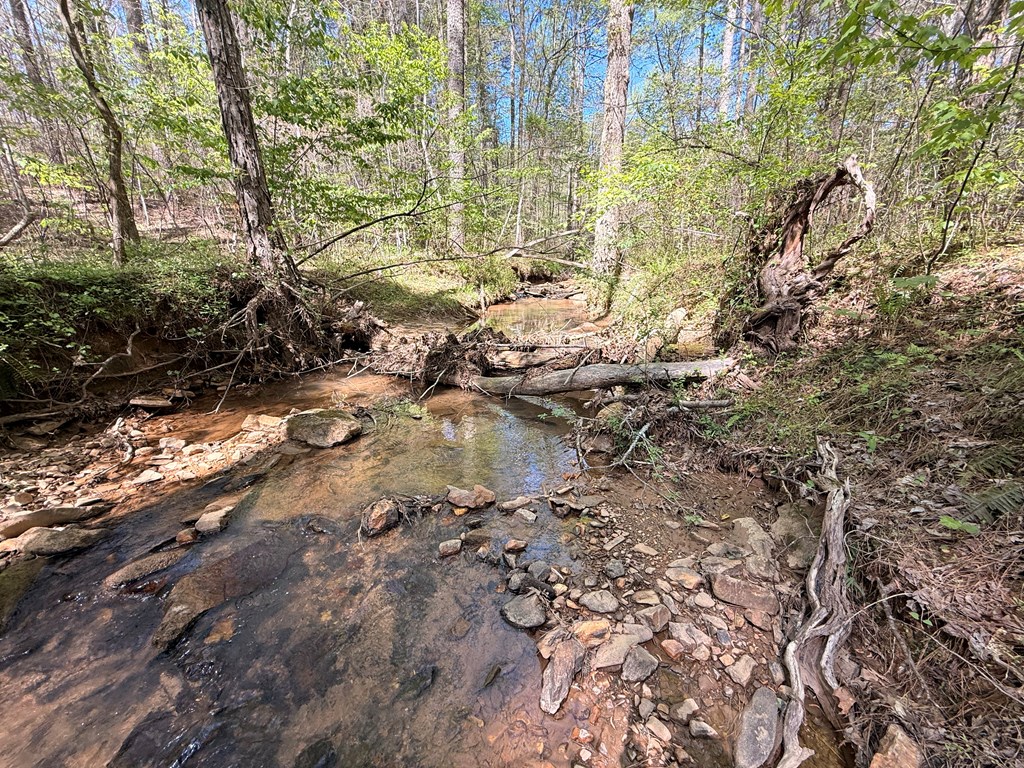 7.27 Ac. Sumac Lane Property Photo 34