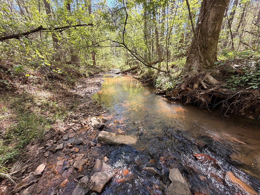 7.27 Ac. Sumac Lane Property Photo 35