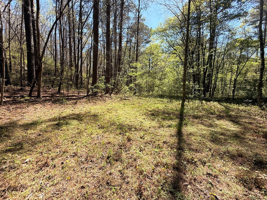 7.27 Ac. Sumac Lane Property Photo 36