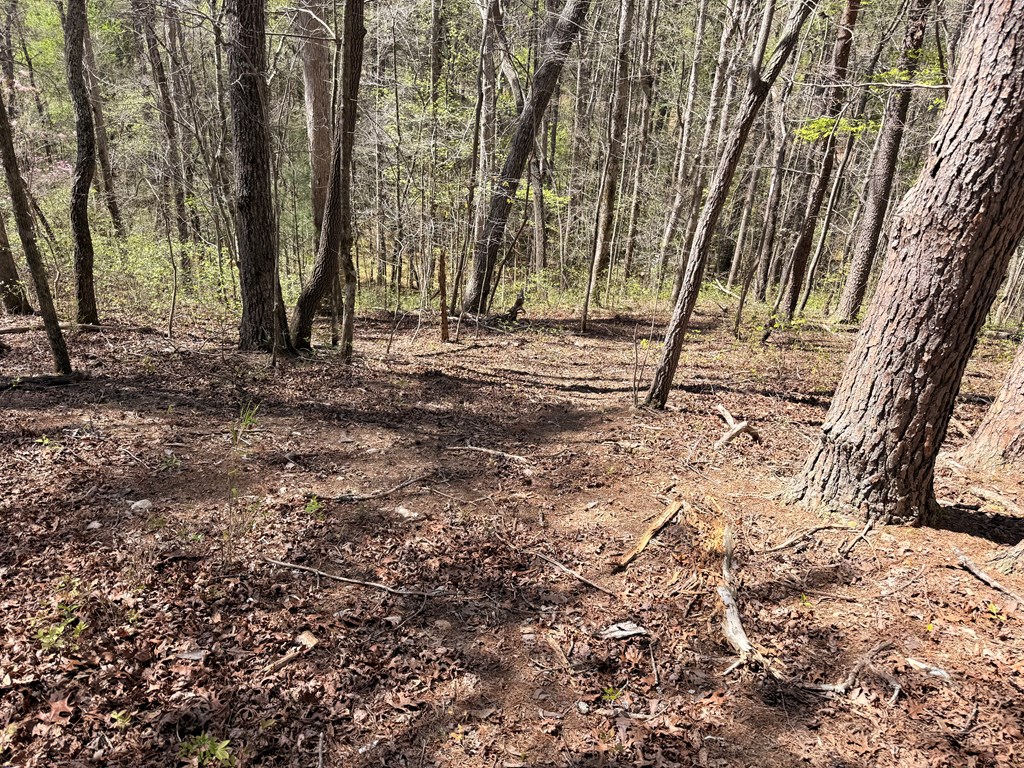 7.27 Ac. Sumac Lane Property Photo 38