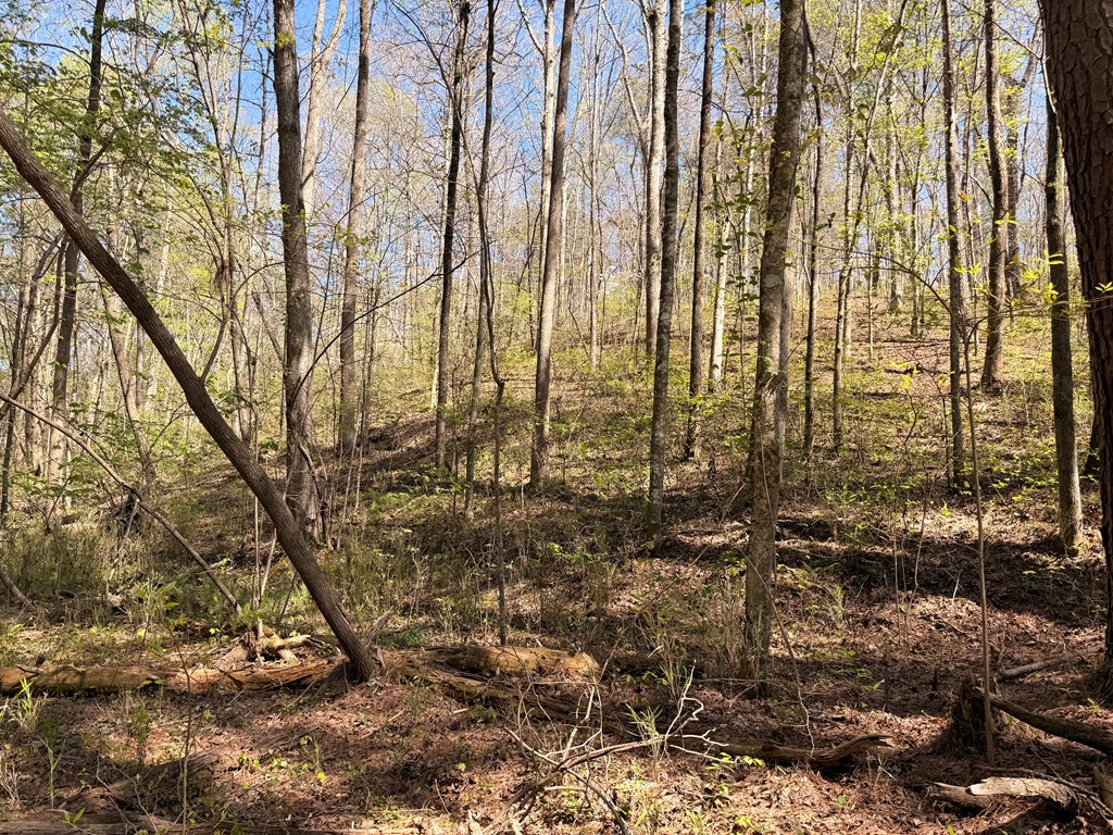 7.27 Ac. Sumac Lane Property Photo 41