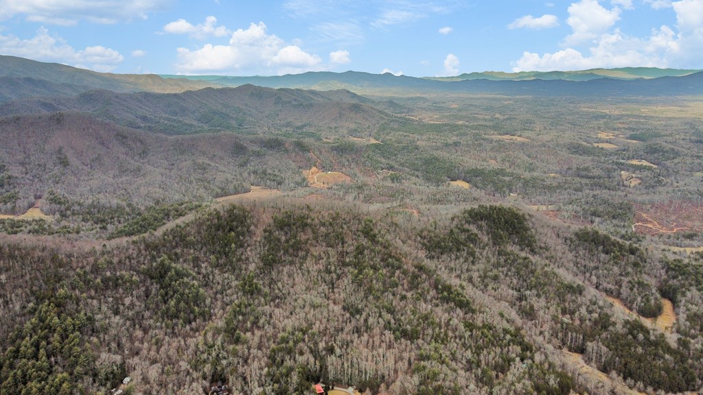 401 Dancing Leaves Trail Property Photo 4