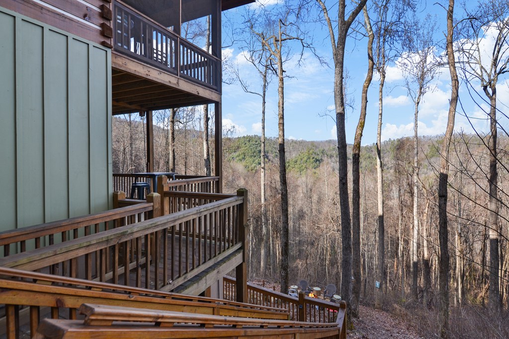 401 Dancing Leaves Trail Property Photo 5