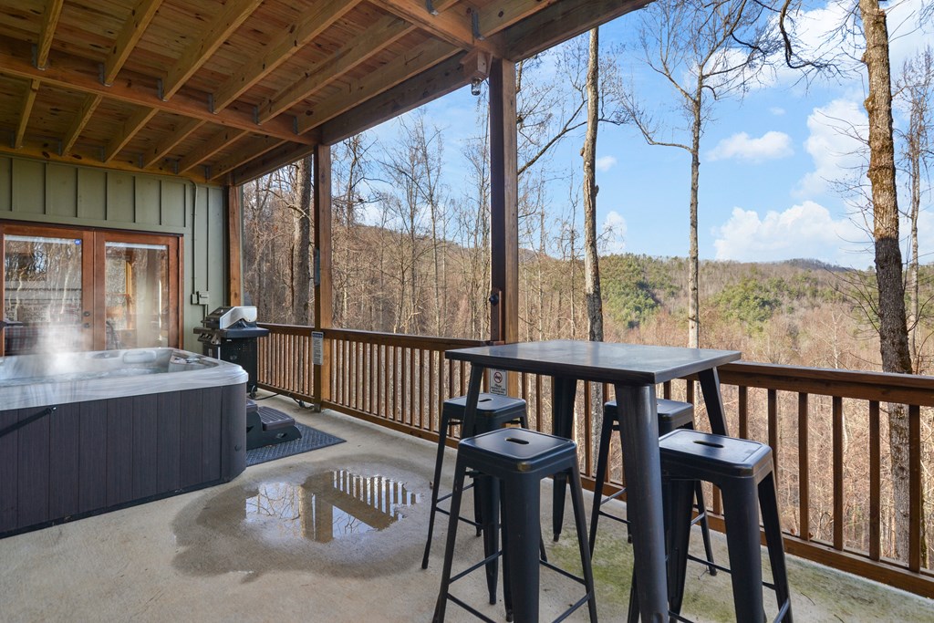 401 Dancing Leaves Trail Property Photo 34