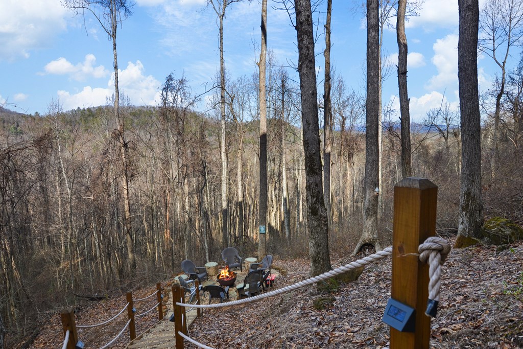 401 Dancing Leaves Trail Property Photo 35