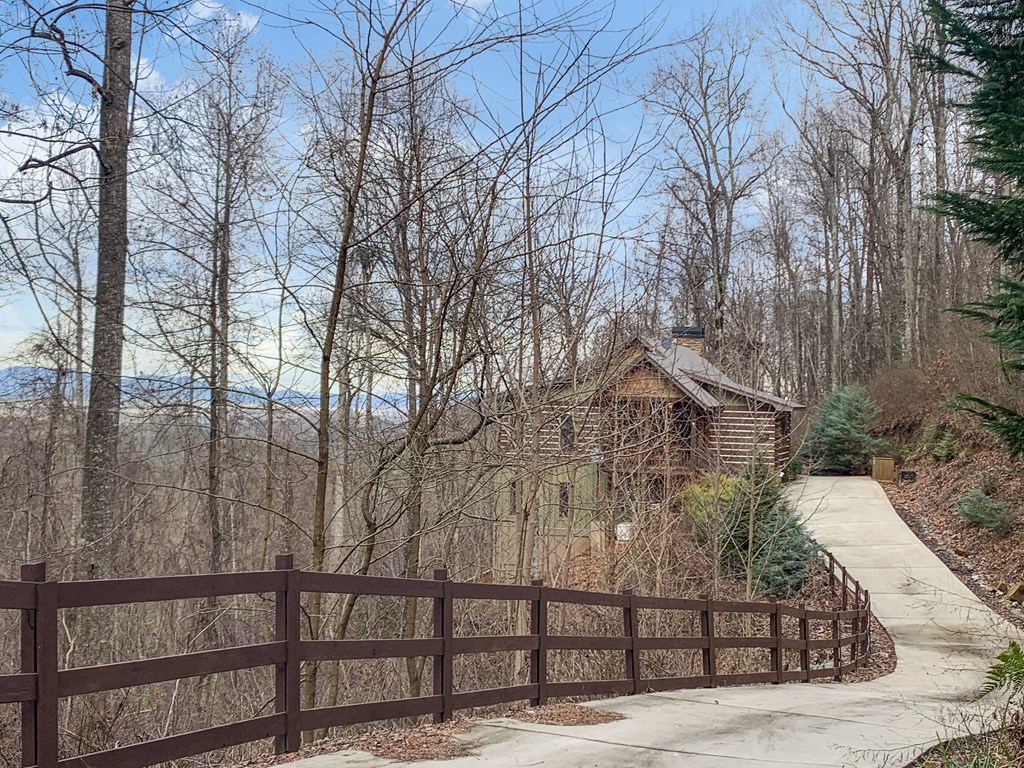 401 Dancing Leaves Trail Property Photo 38