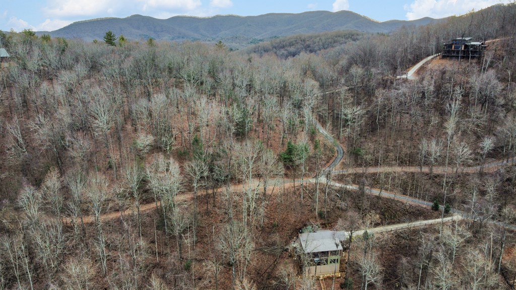 401 Dancing Leaves Trail Property Photo 39