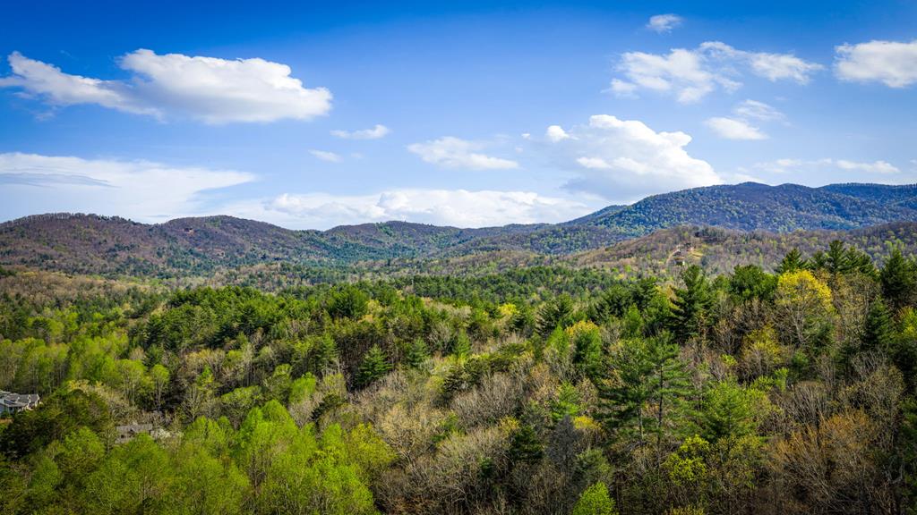 337 Big Sky Trail Property Photo 3