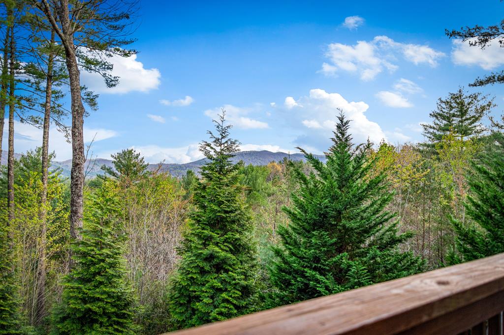 337 Big Sky Trail Property Photo 46