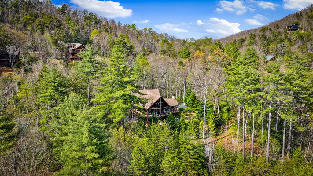 337 Big Sky Trail Property Photo 70