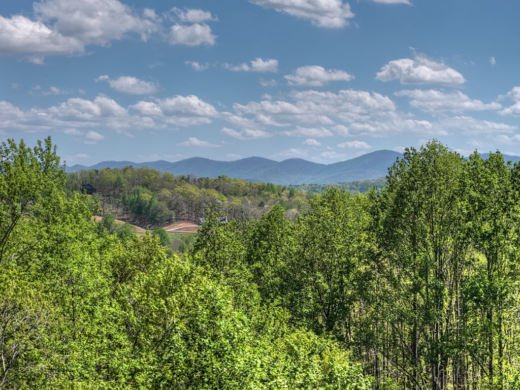 315 Blue Berry Ridge Property Photo 2
