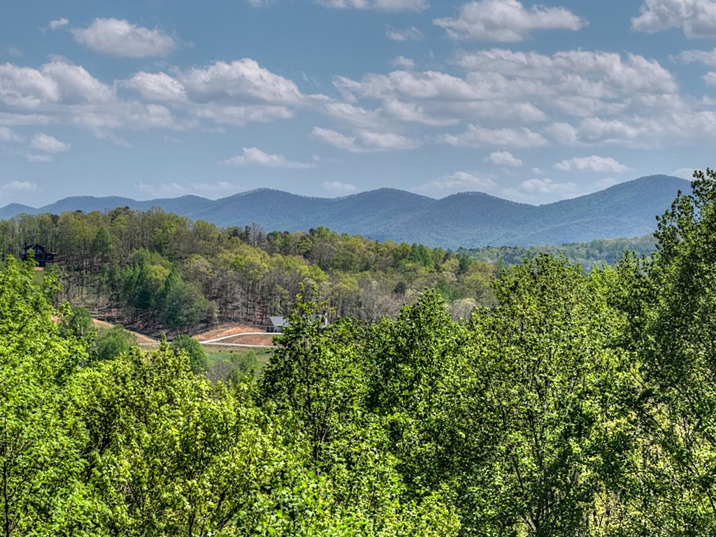 315 Blue Berry Ridge Property Photo 34